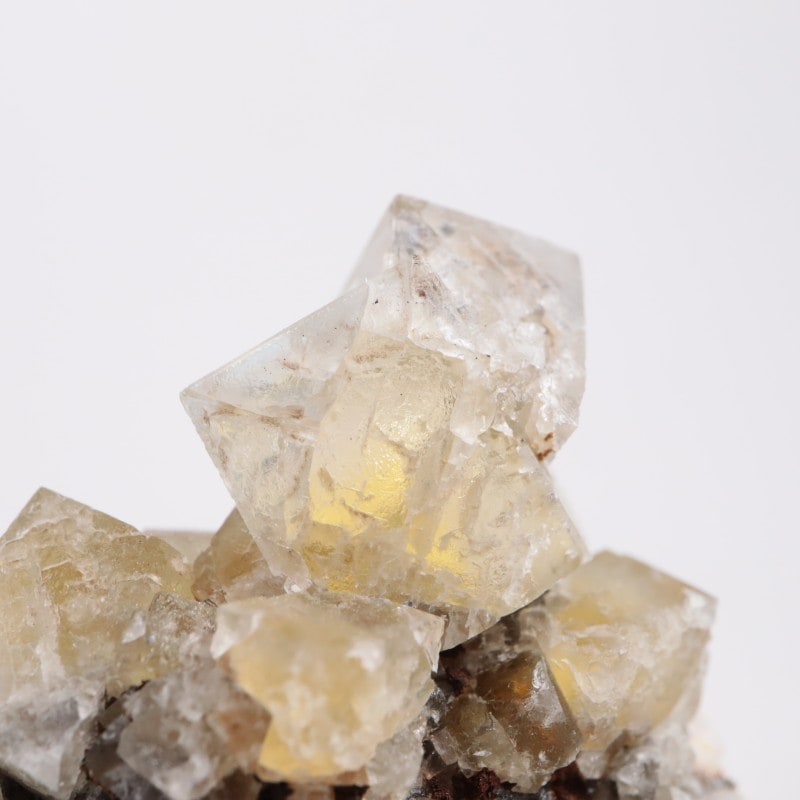 The Bull Vein �ե����饤��