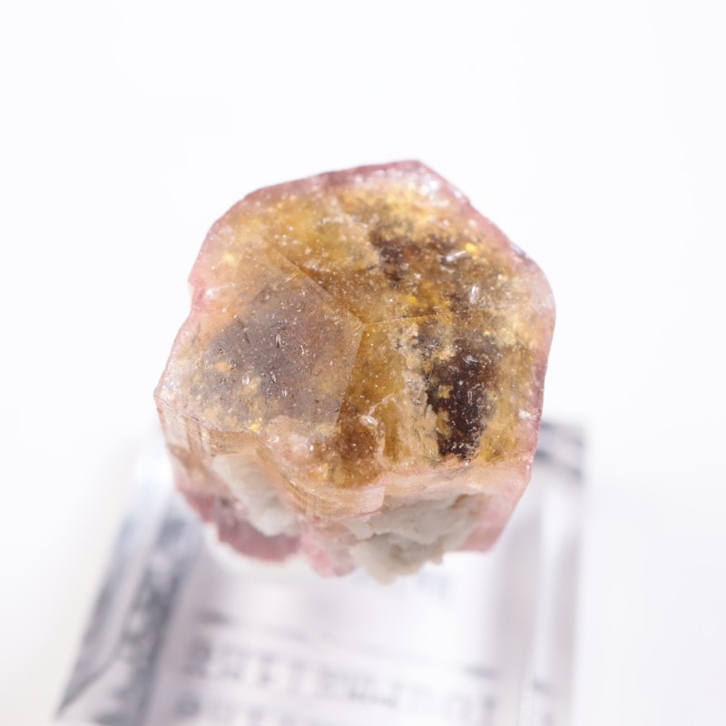 �������� �ȥ�ޥ��