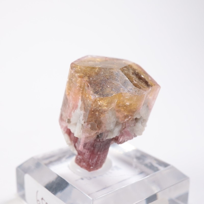 �������� �ȥ�ޥ��