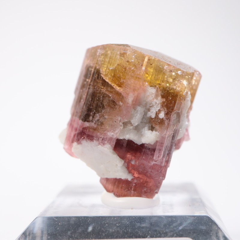 �������� �ȥ�ޥ��