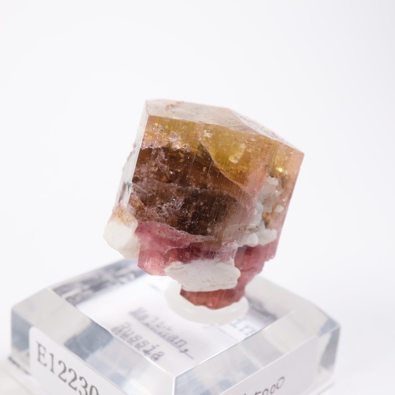 �������� �ȥ�ޥ��