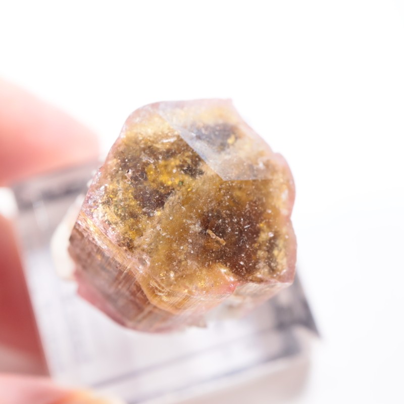 �������� �ȥ�ޥ��