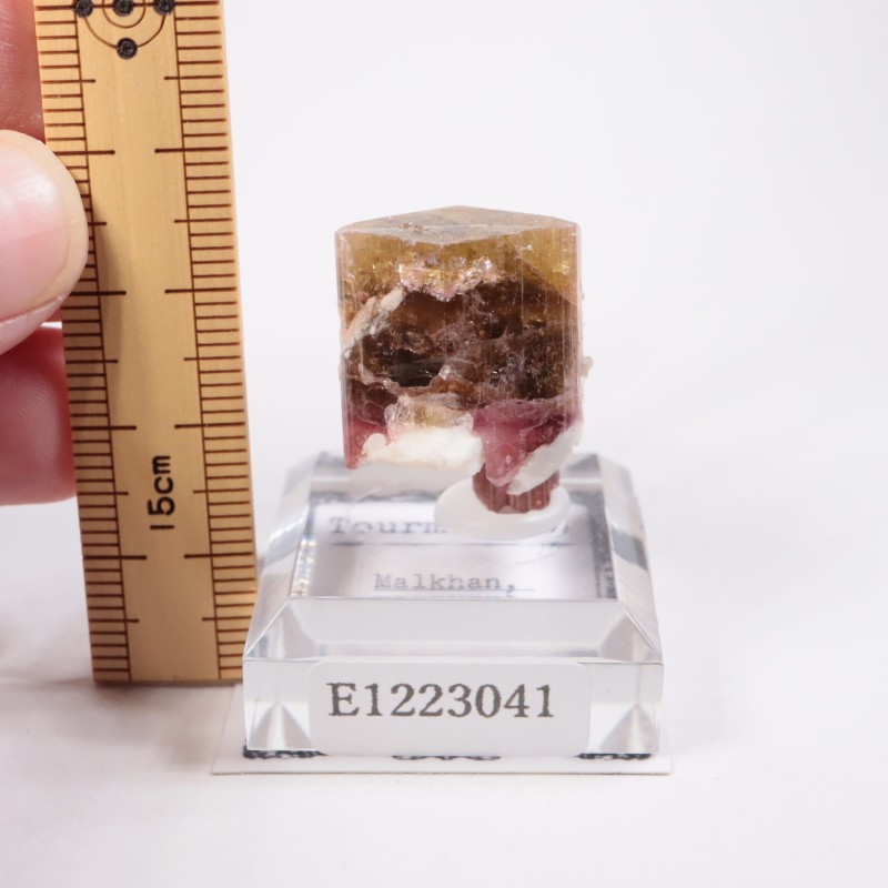 �������� �ȥ�ޥ��