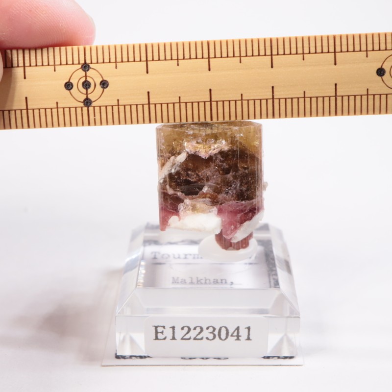 �������� �ȥ�ޥ��