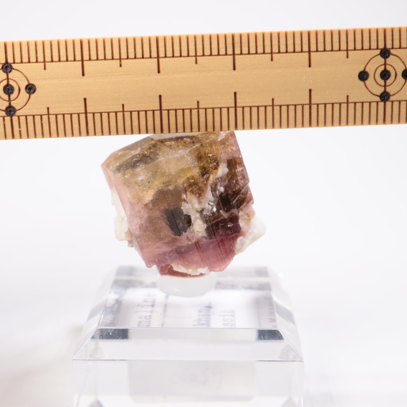 �������� �ȥ�ޥ��