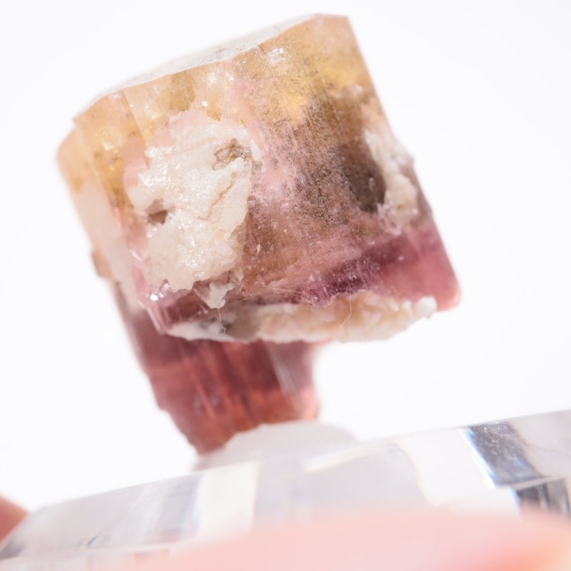 �������� �ȥ�ޥ��