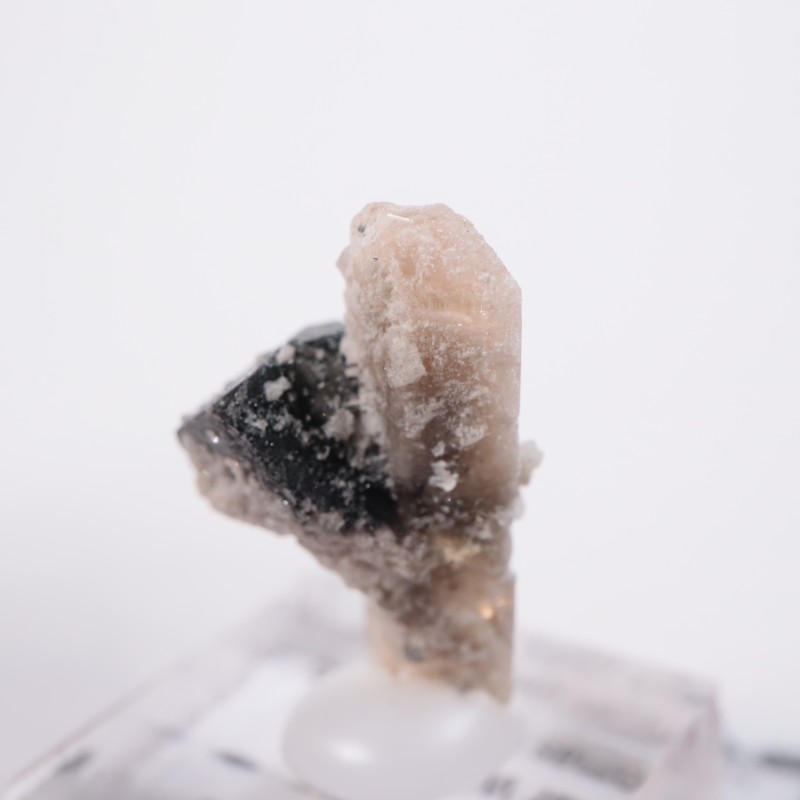 Solar Wind�ۻ����ȥѡ������ӥ����ӥ�����