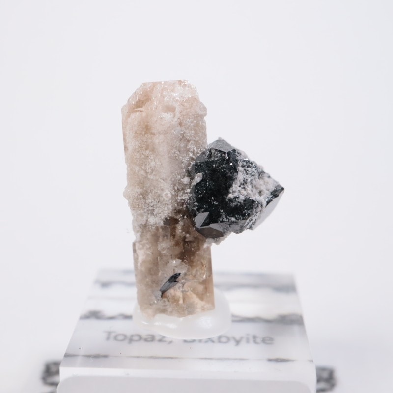 Solar Wind�ۻ����ȥѡ������ӥ����ӥ�����