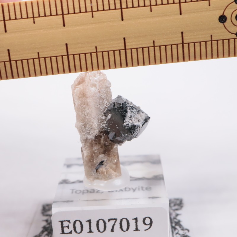 Solar Wind�ۻ����ȥѡ������ӥ����ӥ�����