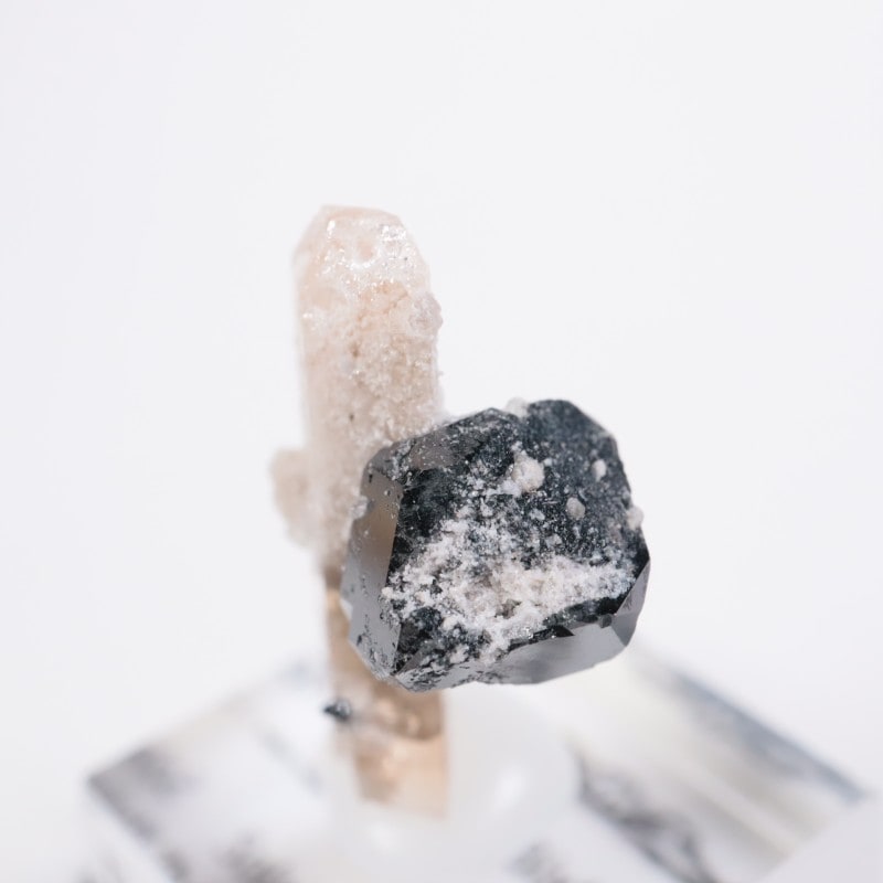 Solar Wind�ۻ����ȥѡ������ӥ����ӥ�����