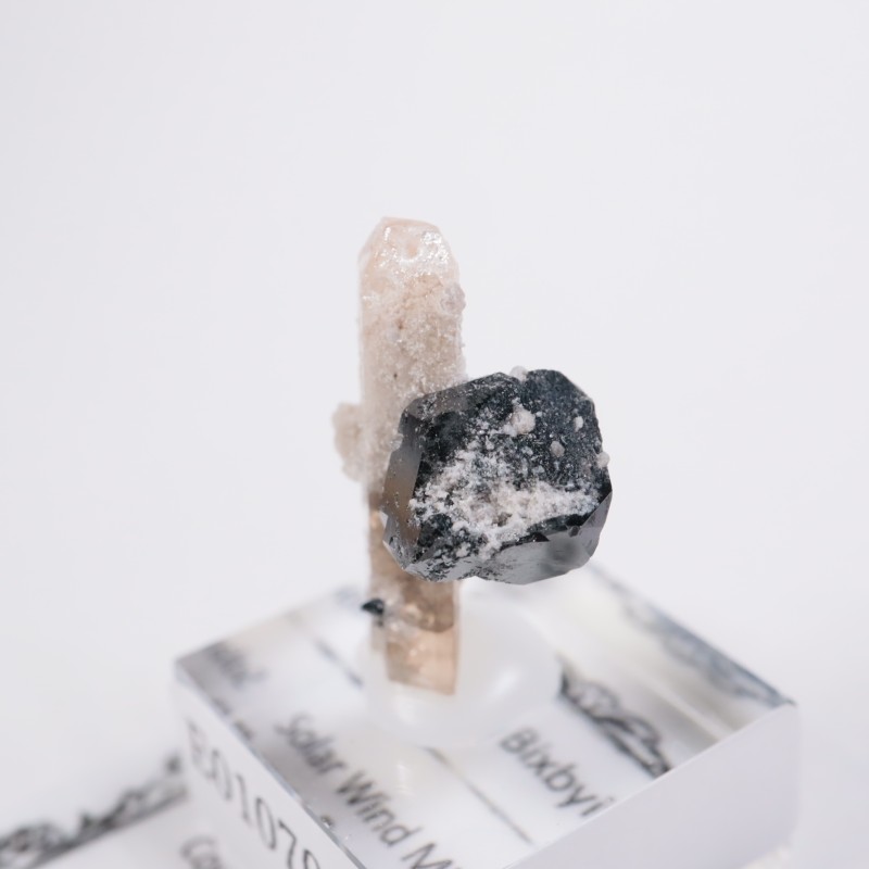 Solar Wind�ۻ����ȥѡ������ӥ����ӥ�����