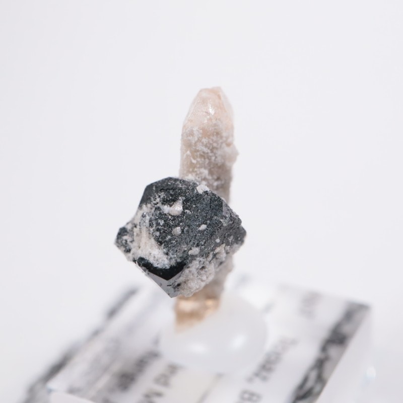 Solar Wind�ۻ����ȥѡ������ӥ����ӥ�����