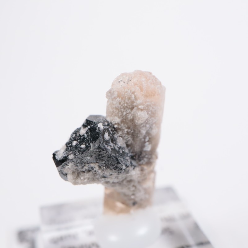 Solar Wind�ۻ����ȥѡ������ӥ����ӥ�����