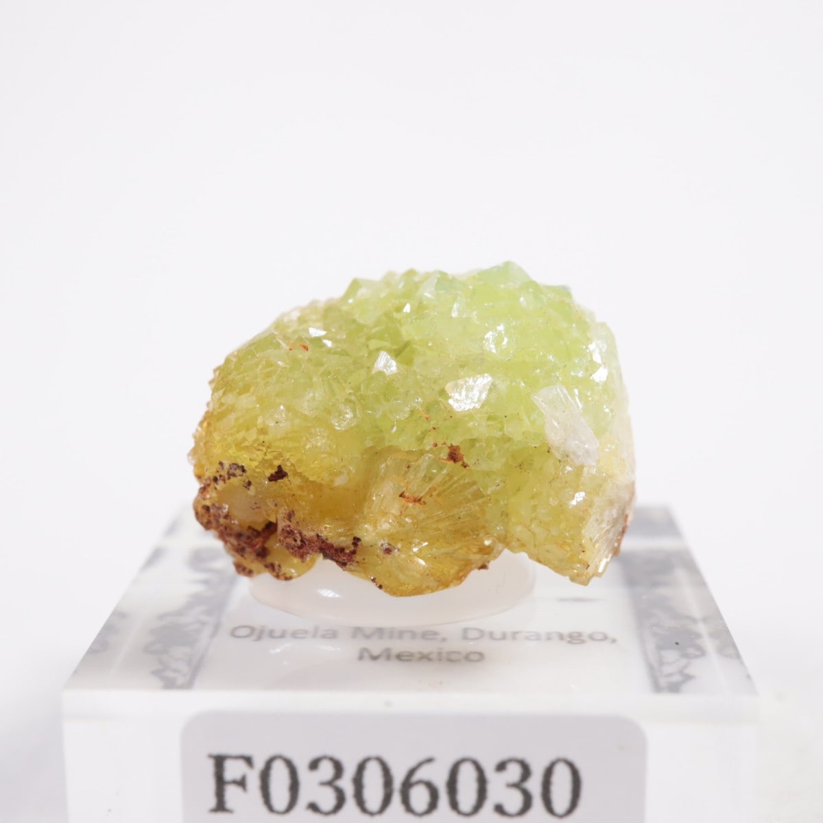 Ojuela�ۻ��� �����ޥ���