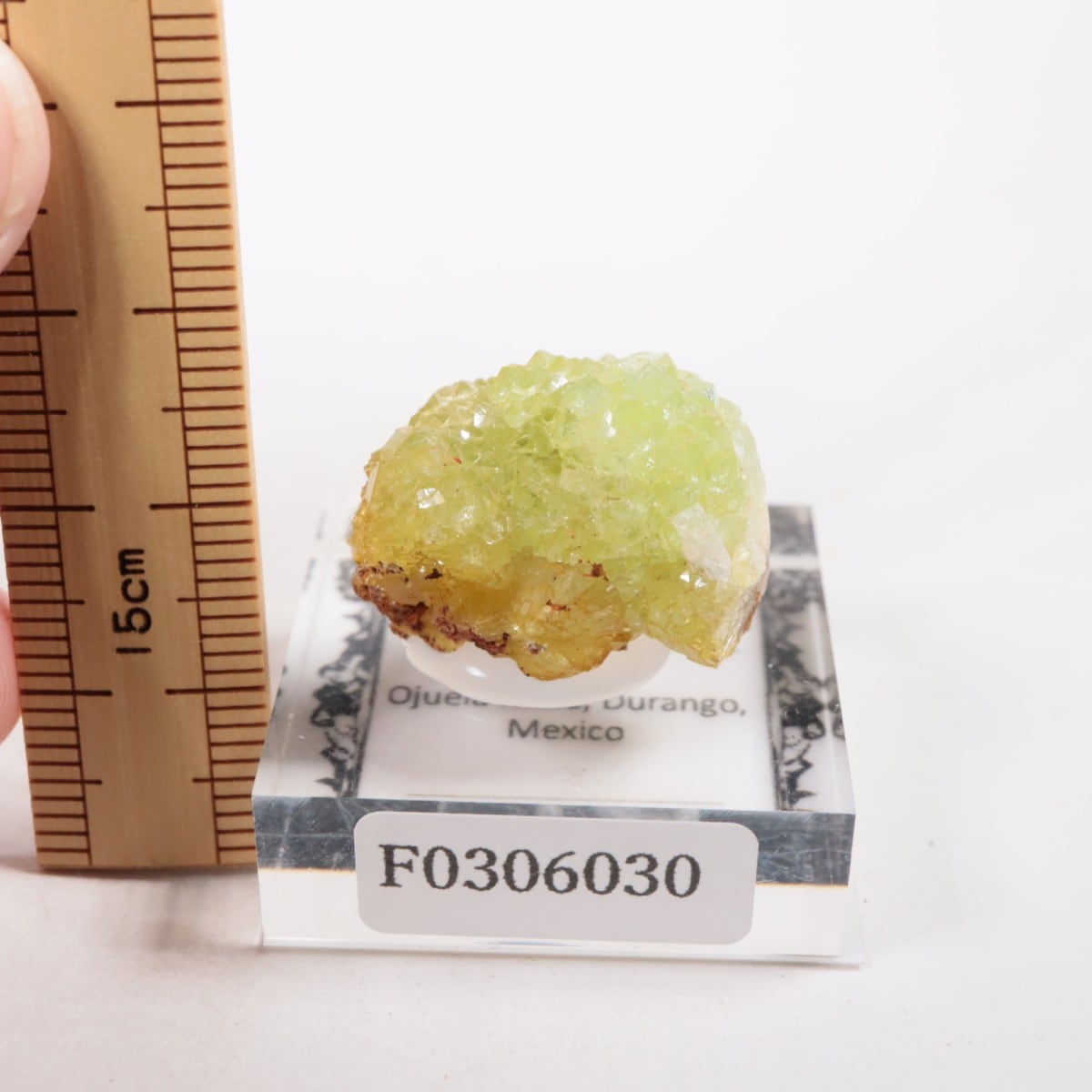 Ojuela�ۻ��� �����ޥ���