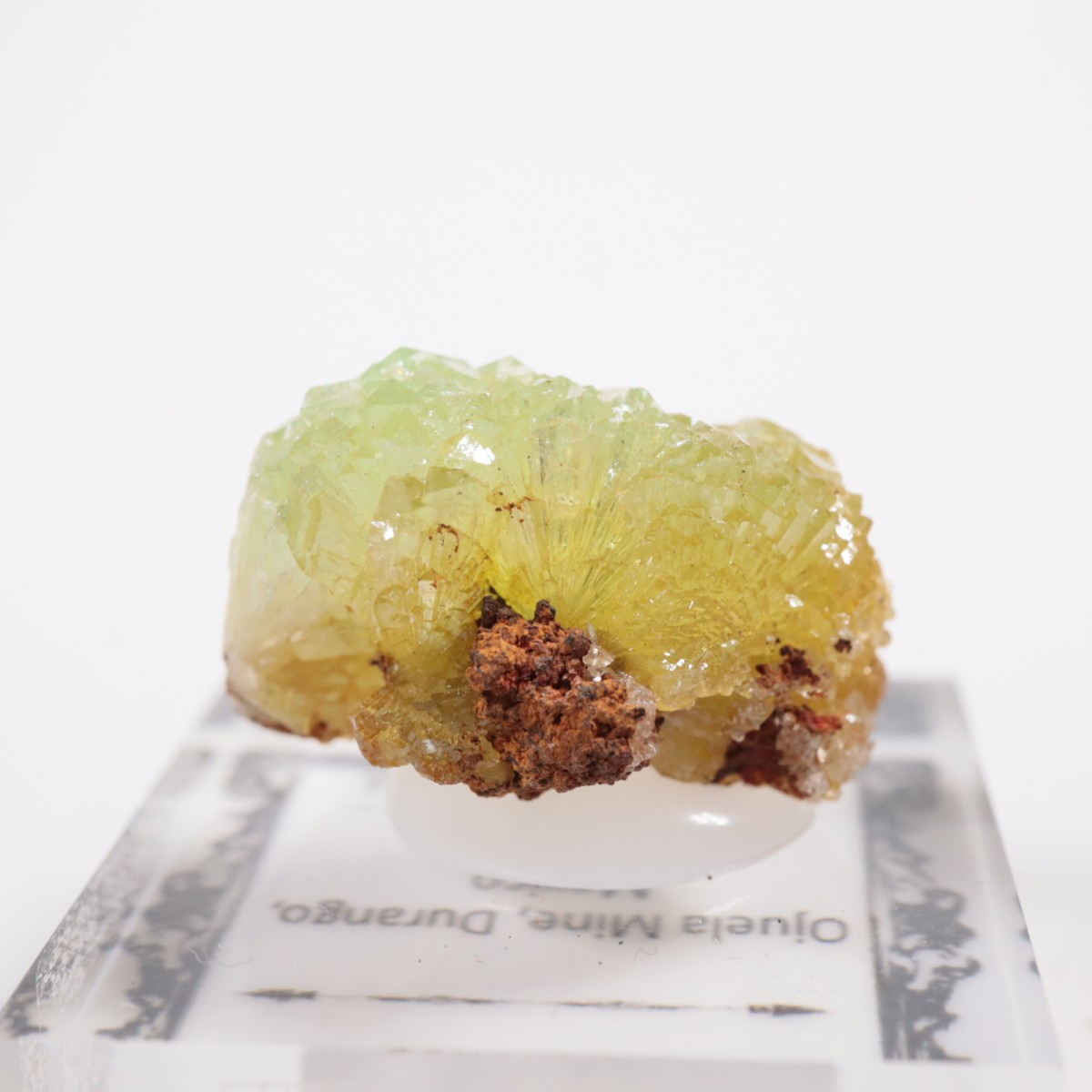 Ojuela�ۻ��� �����ޥ���