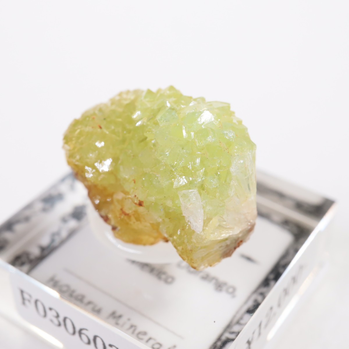 Ojuela�ۻ��� �����ޥ���