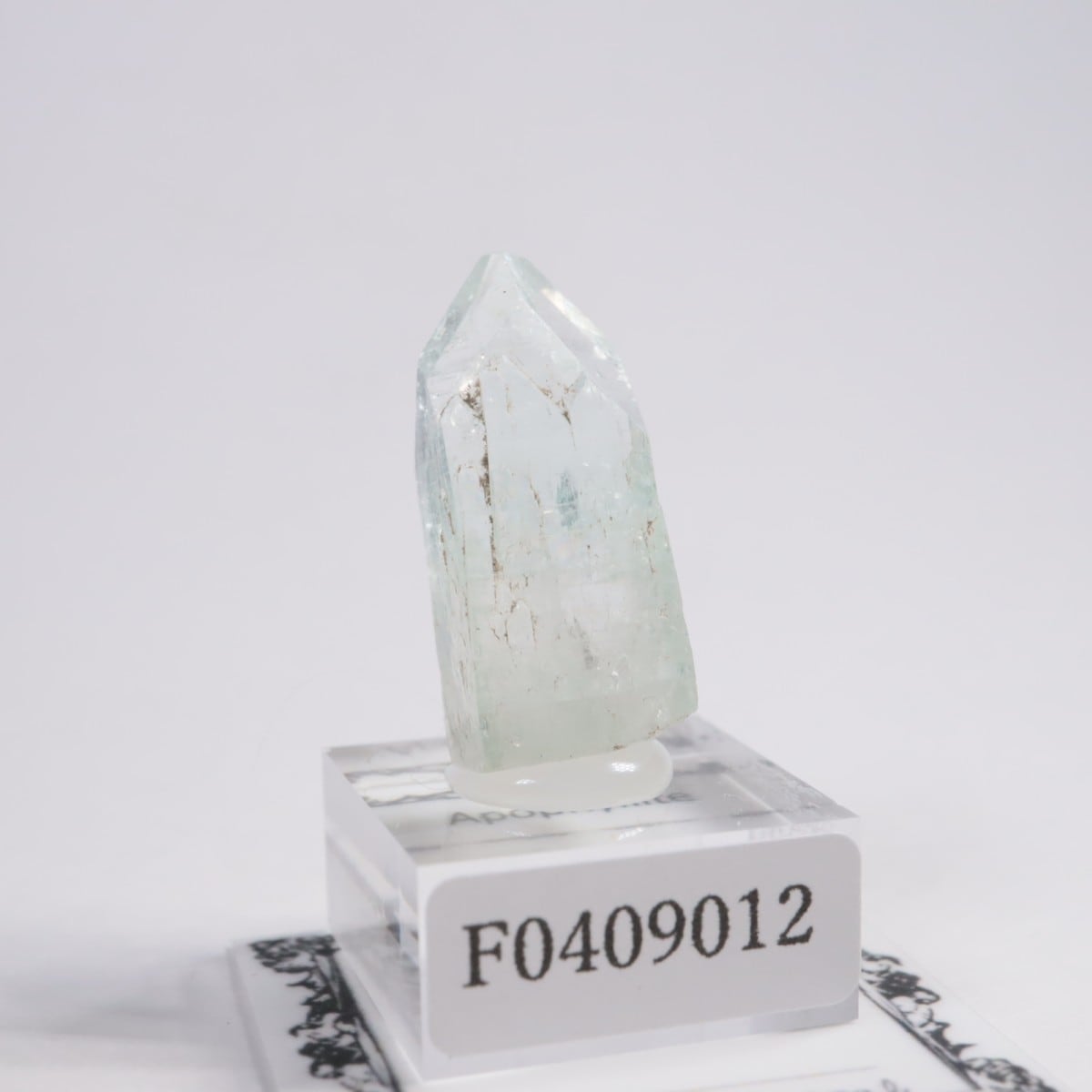 ����ɻ� ���ݥե��饤��