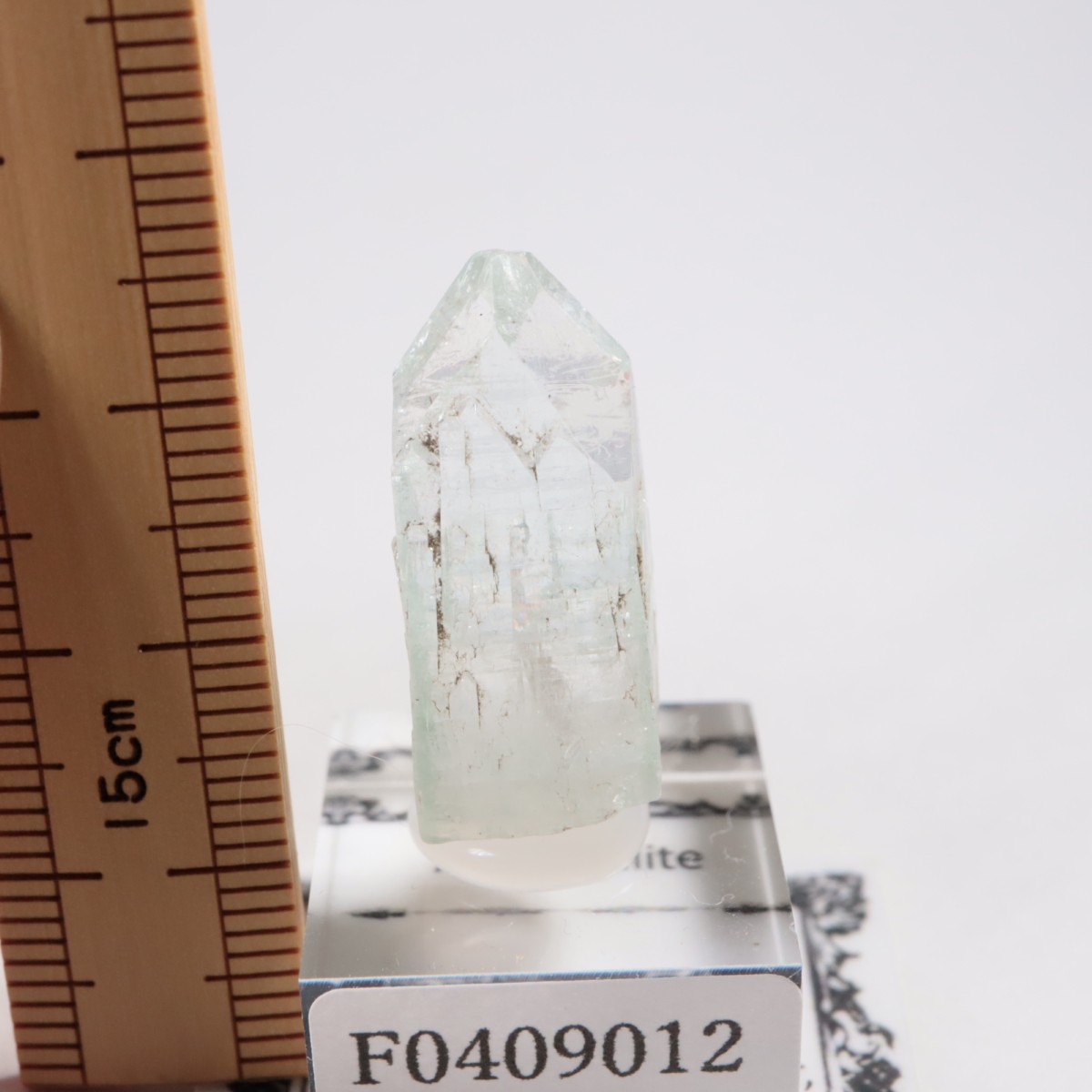 ����ɻ� ���ݥե��饤��