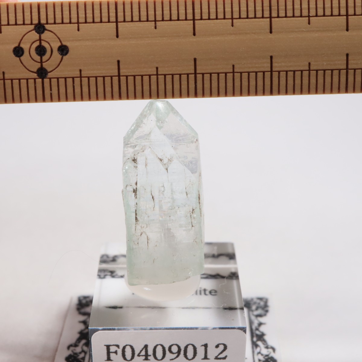 ����ɻ� ���ݥե��饤��