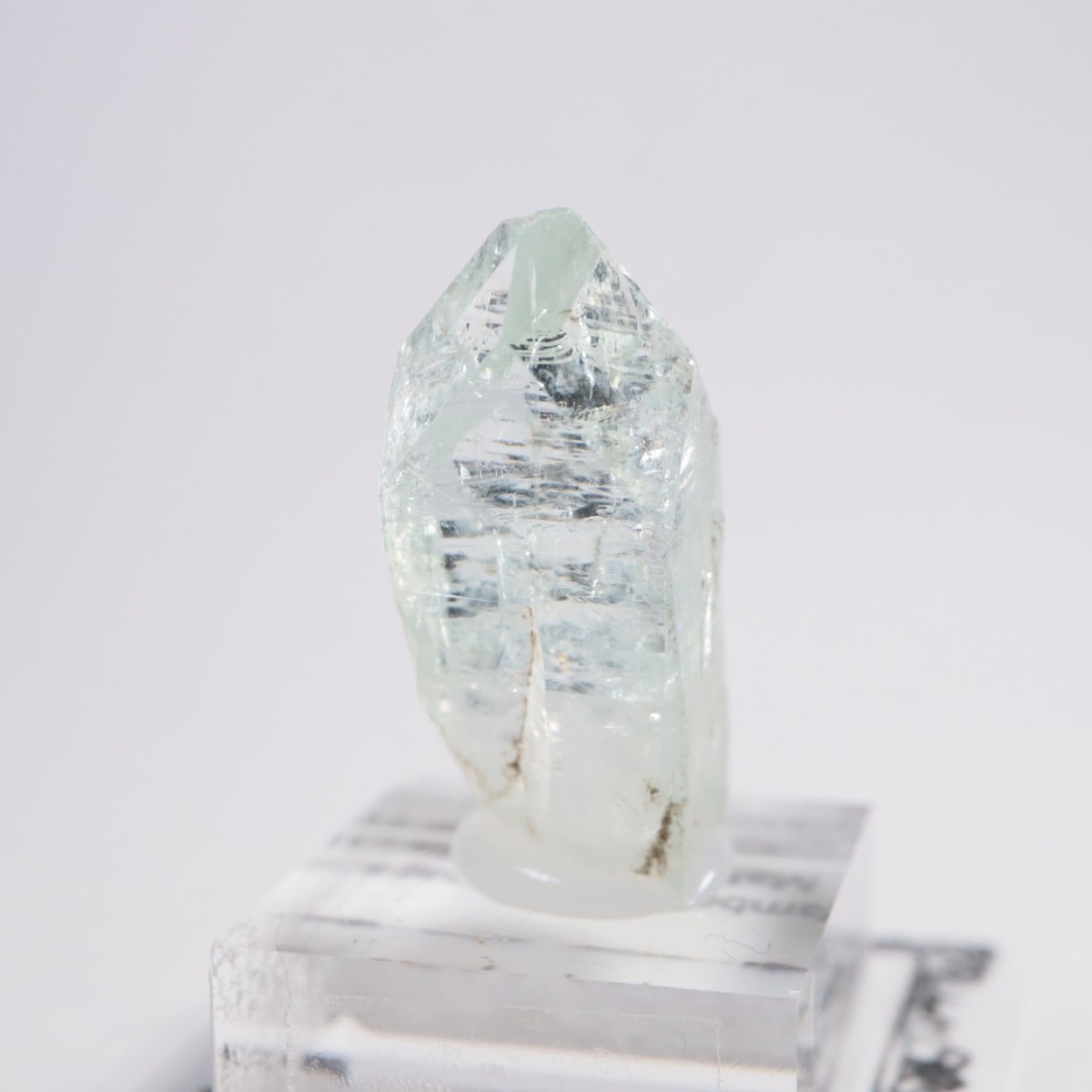 ����ɻ� ���ݥե��饤��