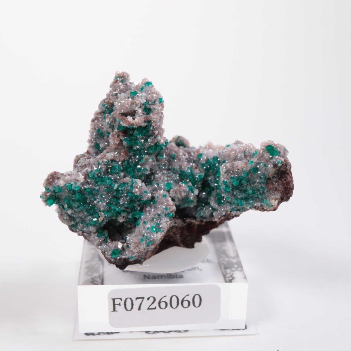 ナミビア ツメブ鉱山 ダイオプテーズ(翠銅鉱) 鉱物標本 ナミビア ツメブ鉱山 ダイオプテーズ(翠銅鉱) 鉱物標本 ナミビア