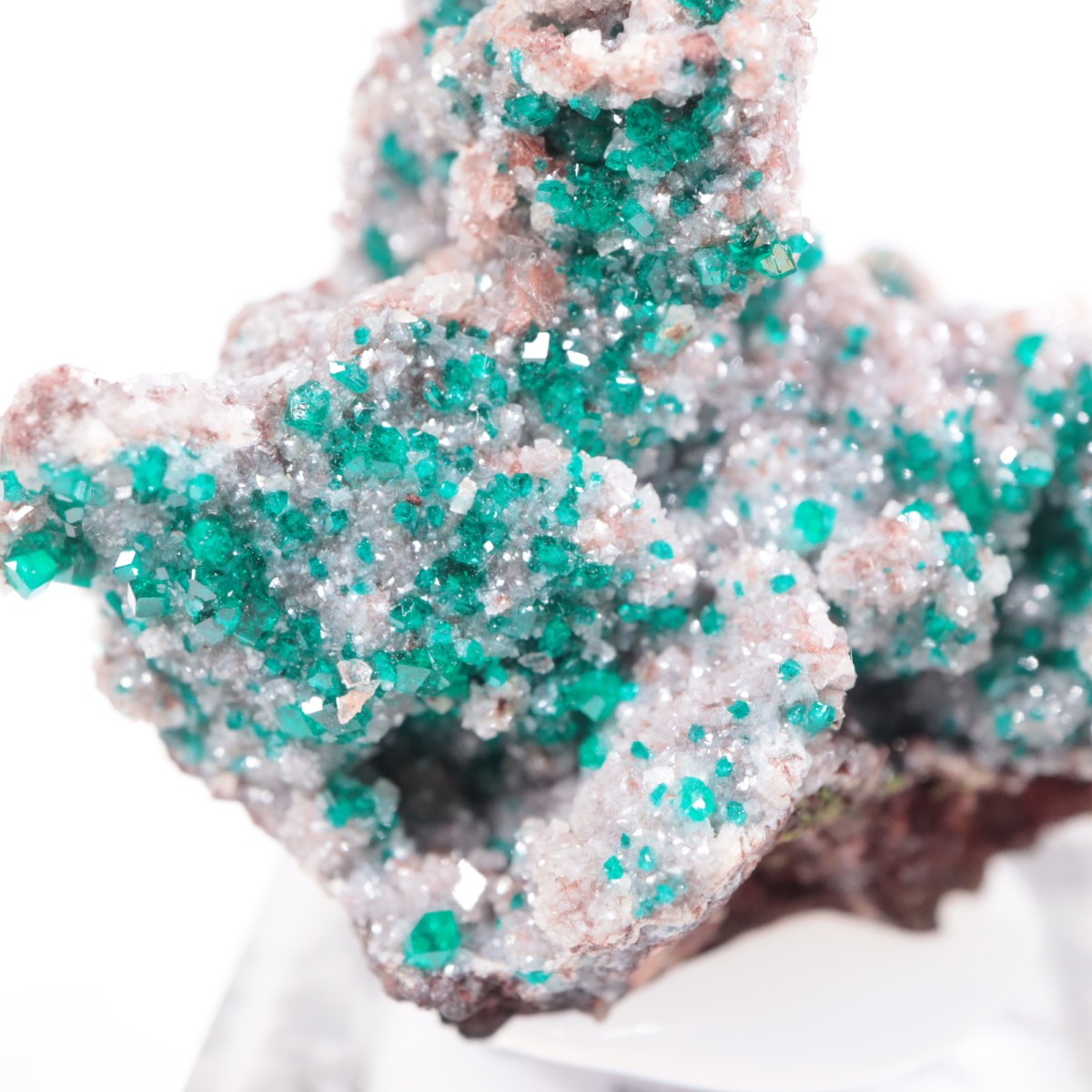 �ĥ�ֹۻ��� �������ץơ���