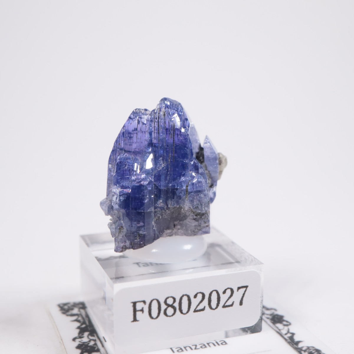 ����˥ҥ륺�� ���󥶥ʥ���