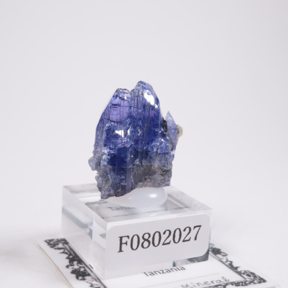 ����˥ҥ륺�� ���󥶥ʥ���