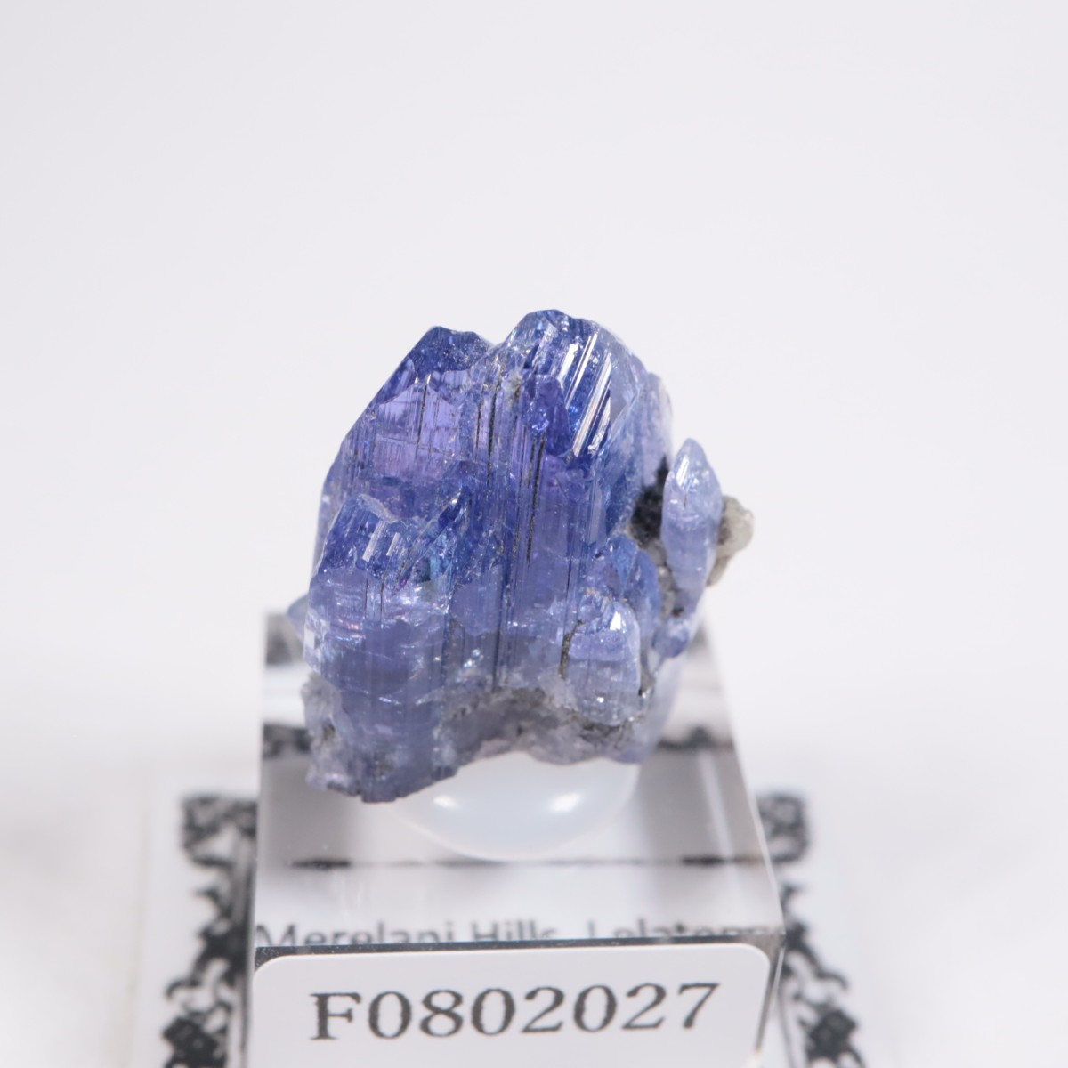 ����˥ҥ륺�� ���󥶥ʥ���