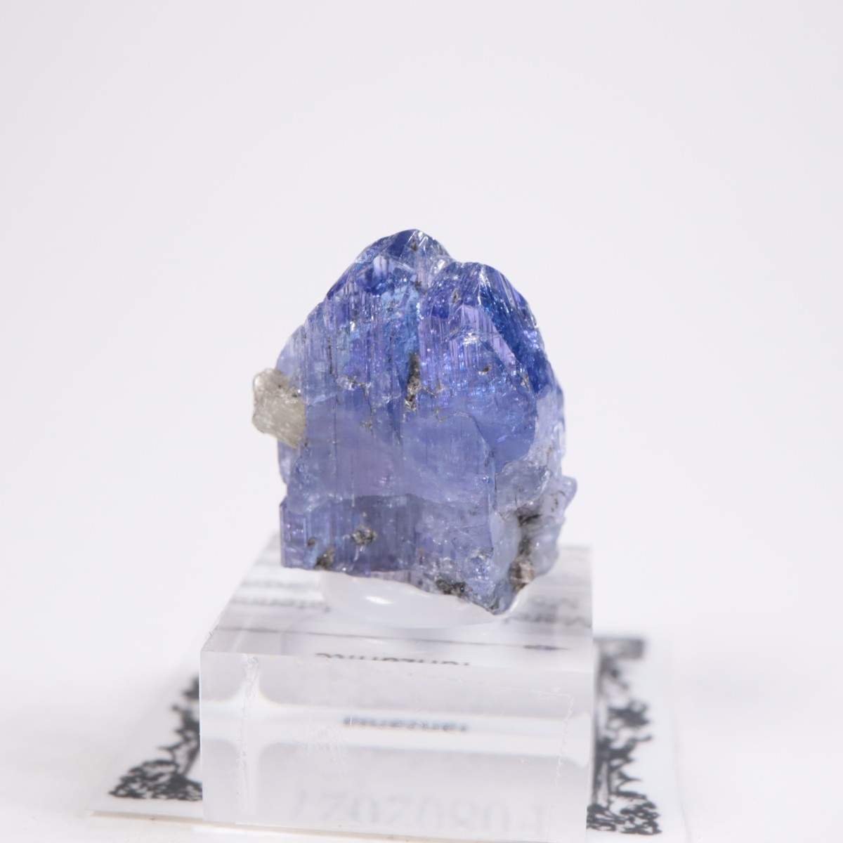 ����˥ҥ륺�� ���󥶥ʥ���