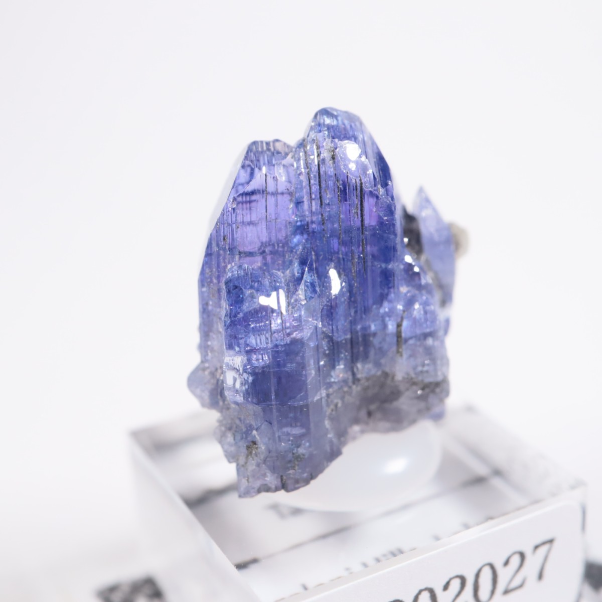 ����˥ҥ륺�� ���󥶥ʥ���