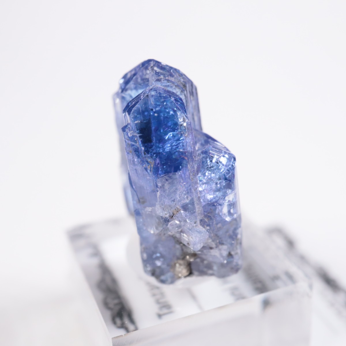 ����˥ҥ륺�� ���󥶥ʥ���