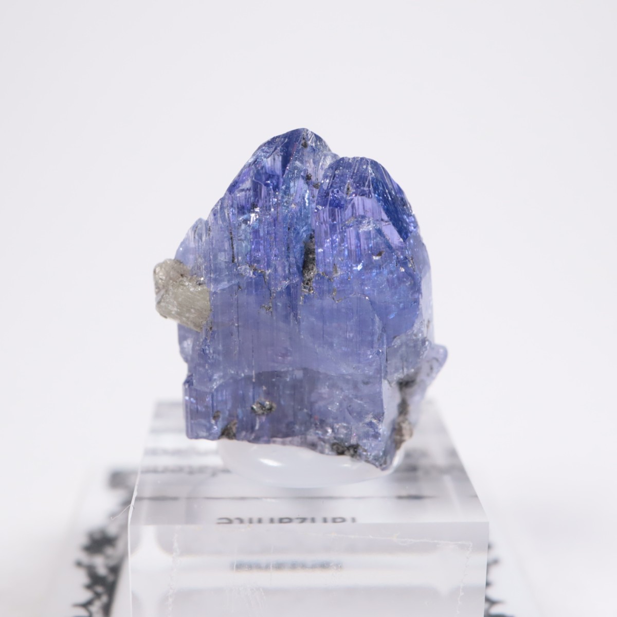 ����˥ҥ륺�� ���󥶥ʥ���