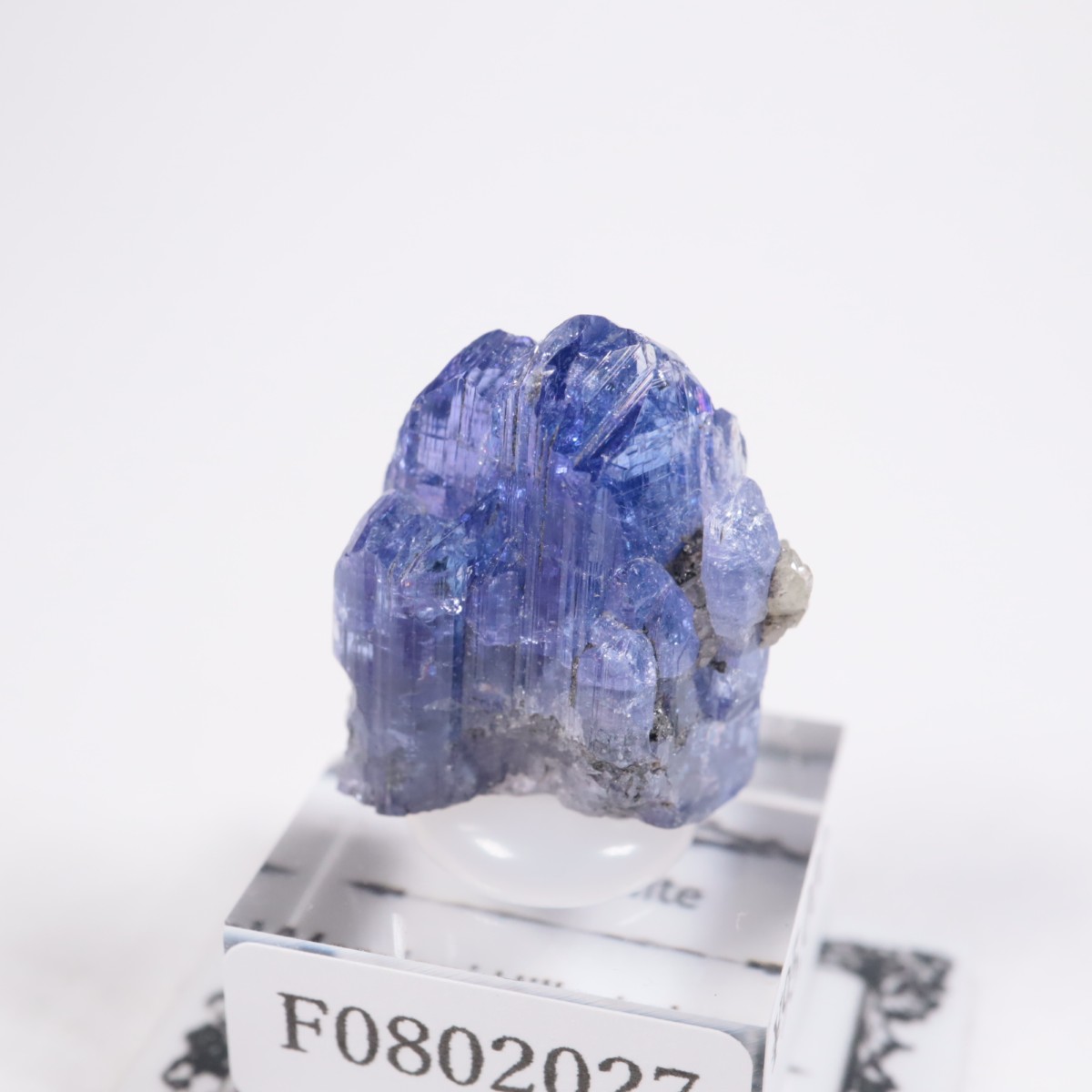 ����˥ҥ륺�� ���󥶥ʥ���