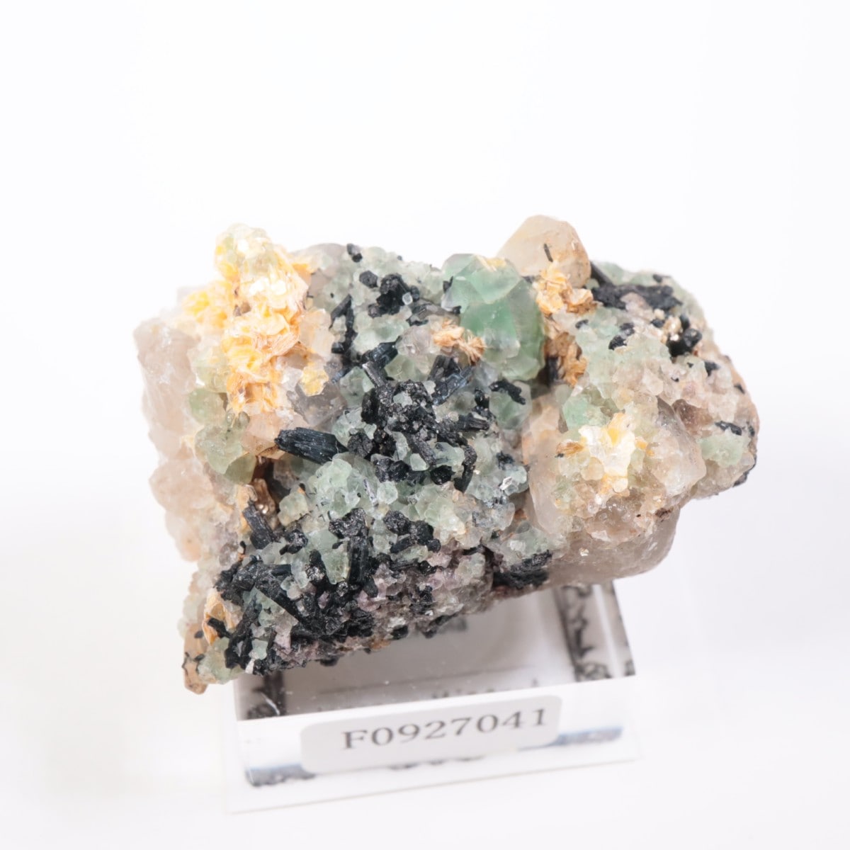 Erongo�ۻ��� �ե����饤��