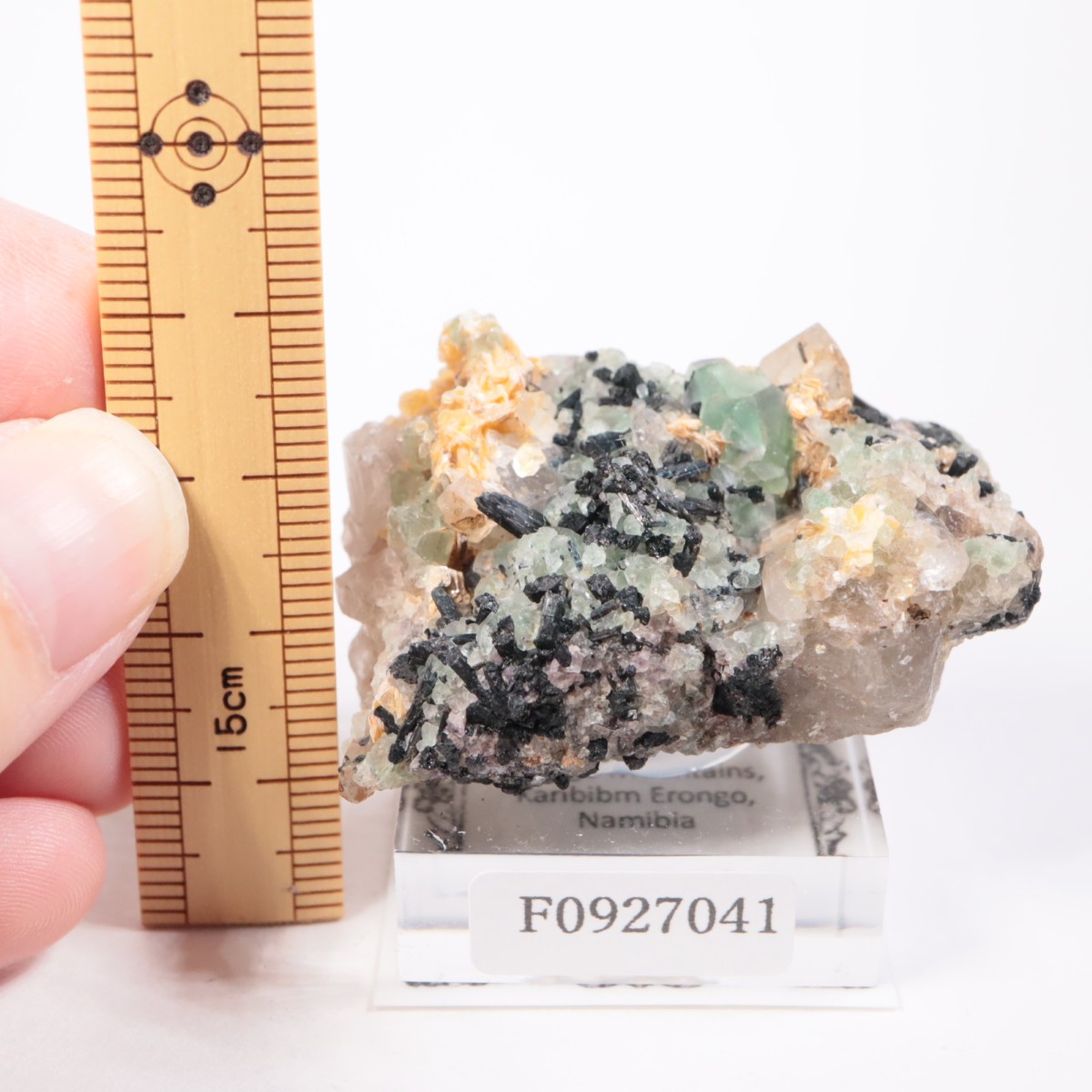 Erongo�ۻ��� �ե����饤��