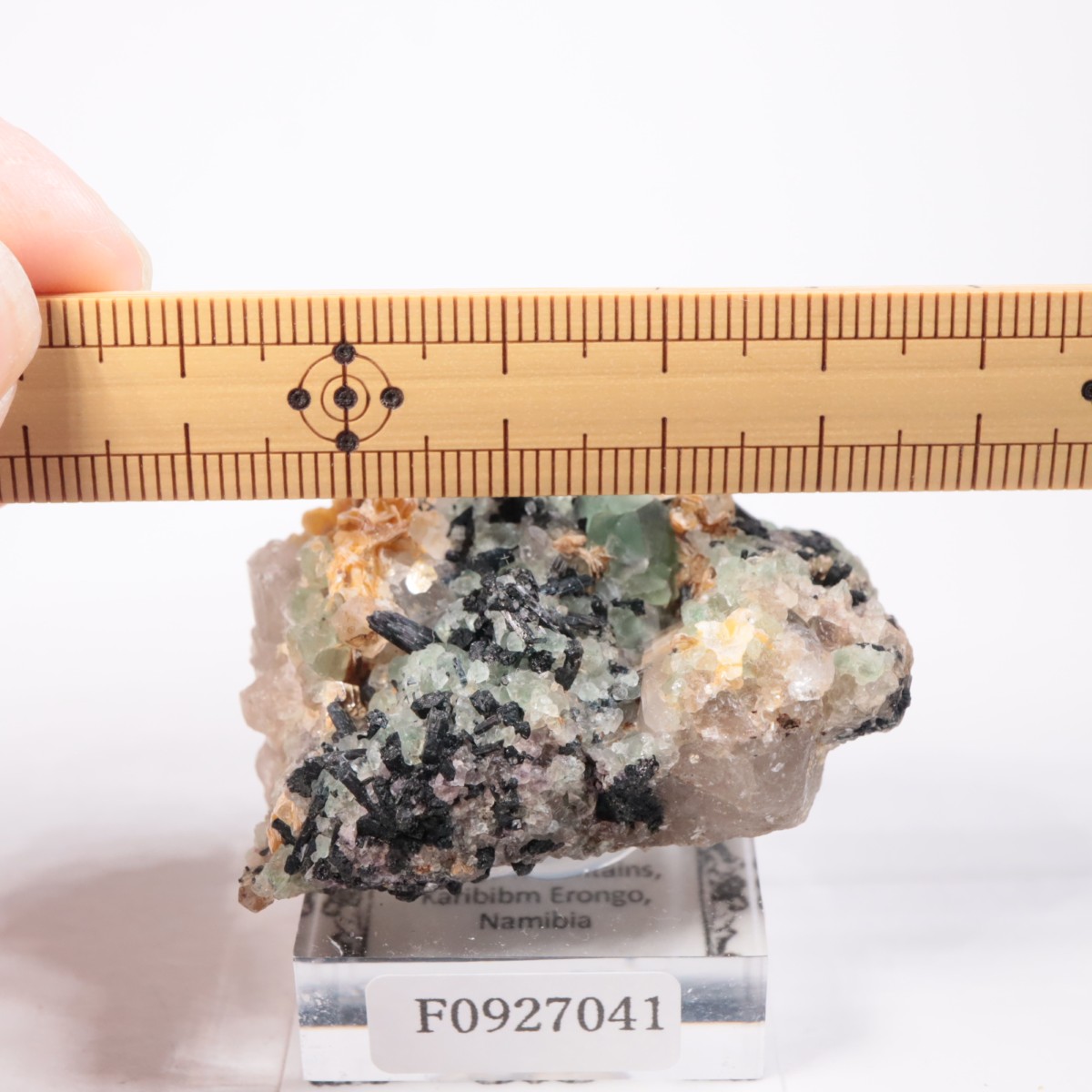 Erongo�ۻ��� �ե����饤��