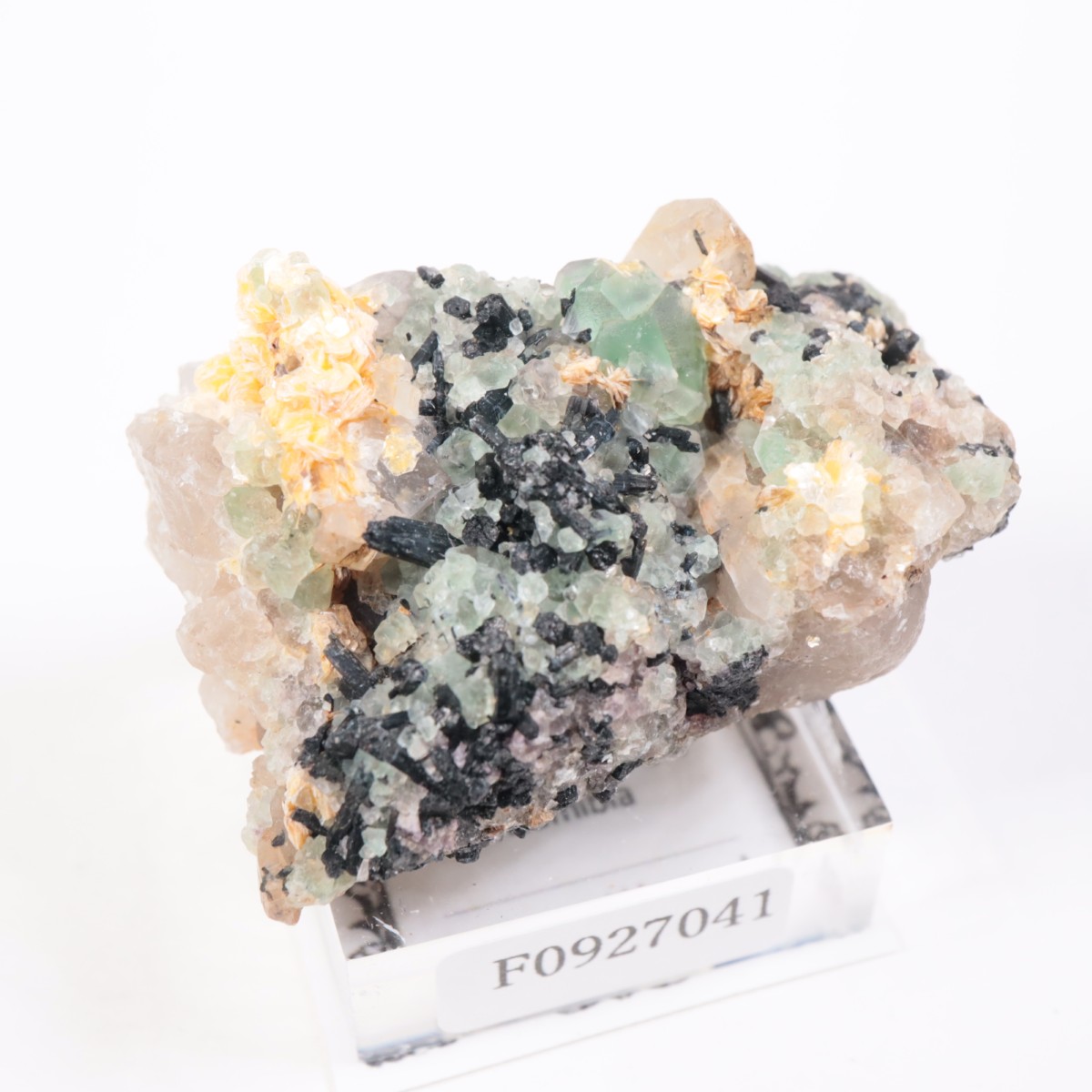 Erongo�ۻ��� �ե����饤��