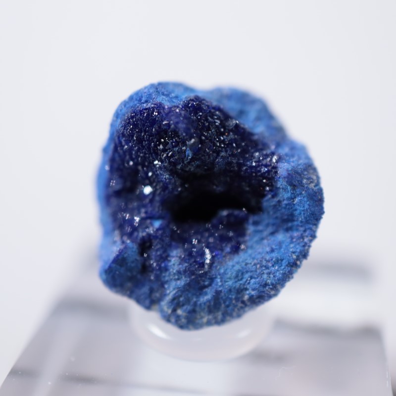 ����뻺�������饤��