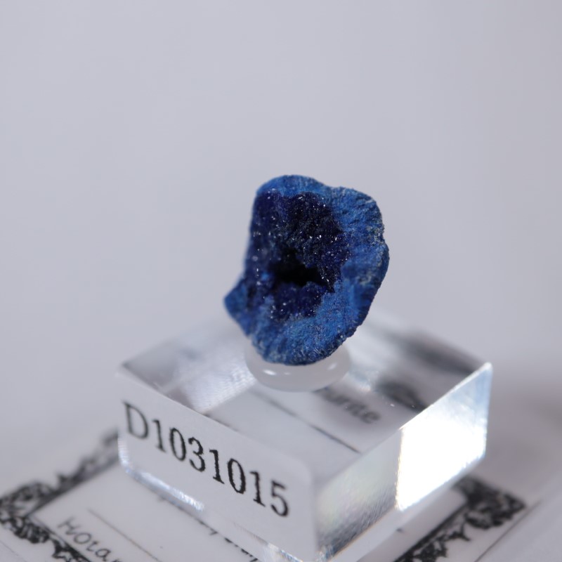 ����뻺�������饤��