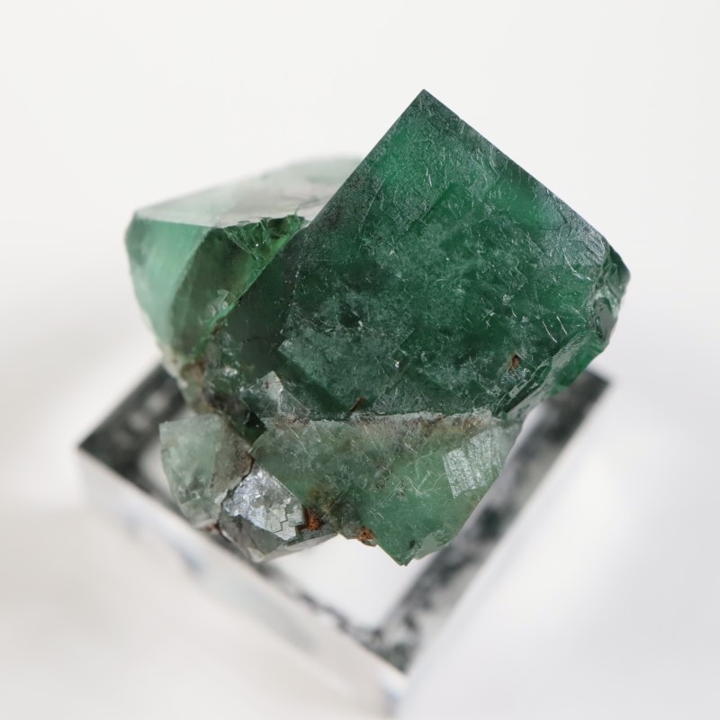 The Hidden Forest���ե����饤��