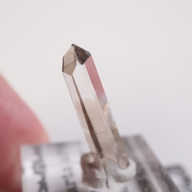 �˥塼�ᥭ����������徽