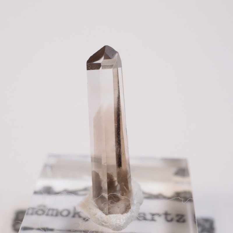 �˥塼�ᥭ����������徽