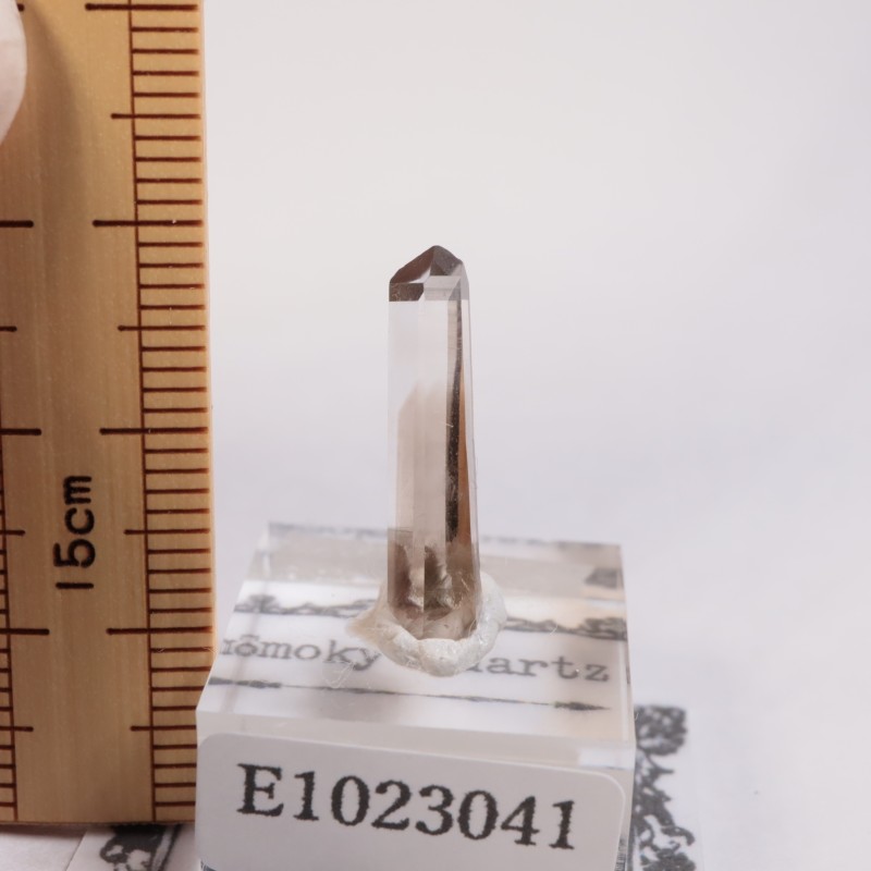 �˥塼�ᥭ����������徽