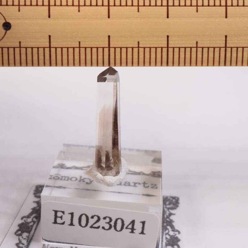 �˥塼�ᥭ����������徽