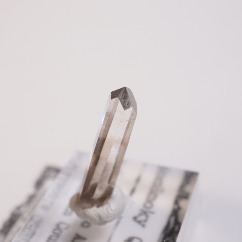 �˥塼�ᥭ����������徽