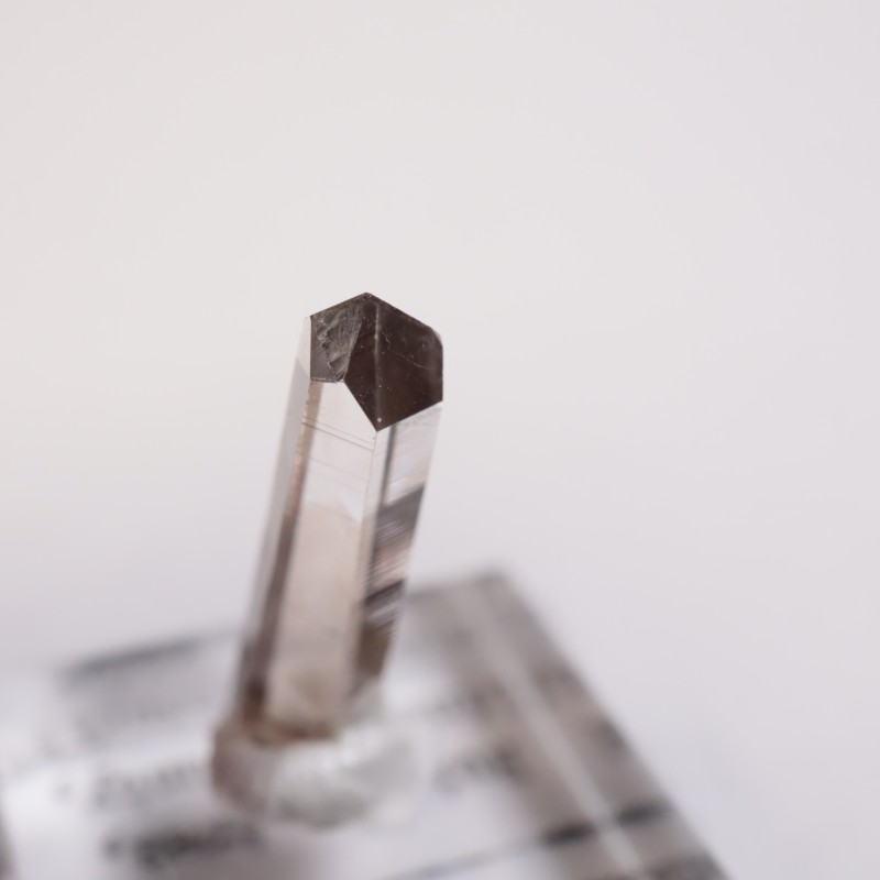 �˥塼�ᥭ����������徽