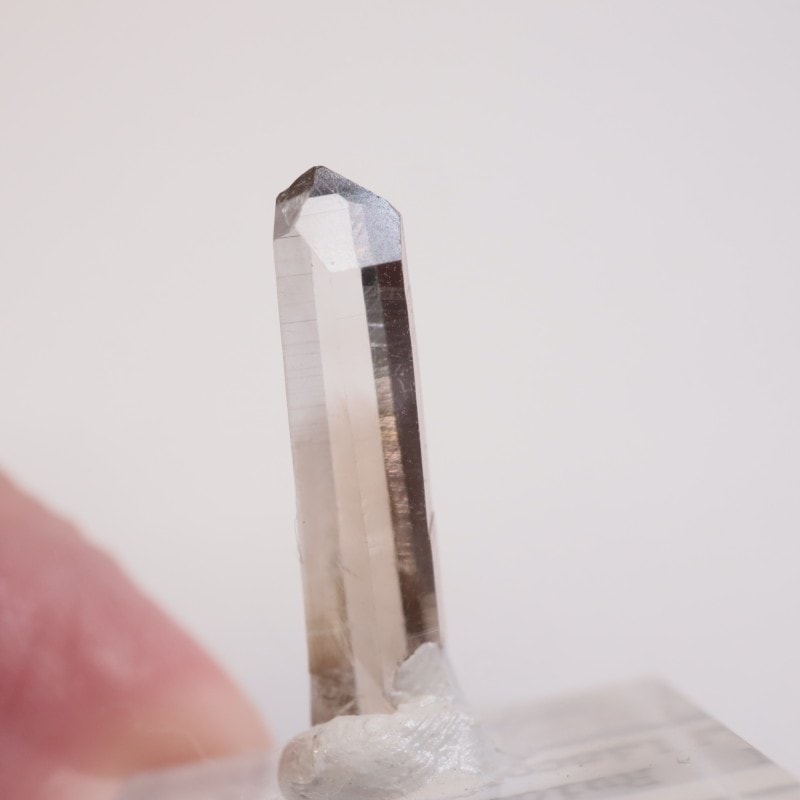 �˥塼�ᥭ����������徽