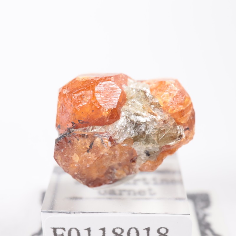 ���󥶥˥��� ���ڥ���ƥ��󥬡��ͥå�